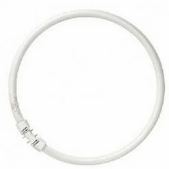 Osram FC 55 Watt 865 Tageslicht T5 2GX13 Fluorescentcircular