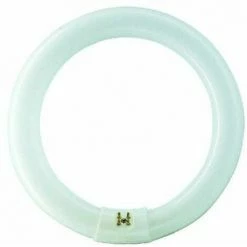 Osram Leuchtstofflampe L 22 Watt 865 Tageslicht C Tageslicht T8 G10Q Circular 26mm Tube