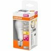 OSRAM Histor MY Color Wandfarbe - Extra Matte - Steel Mill - Reinigbar - Extra Deckend - Lösemittelfrei - Hellgrau - 2,5 Liter